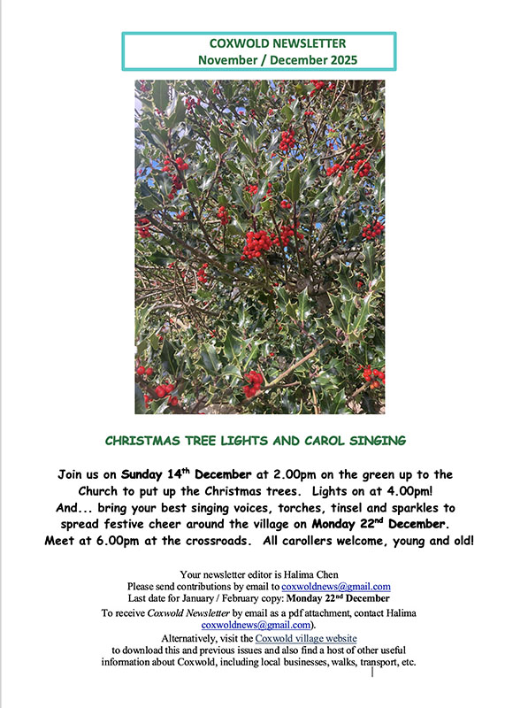 nl nov dec 2025 fronts